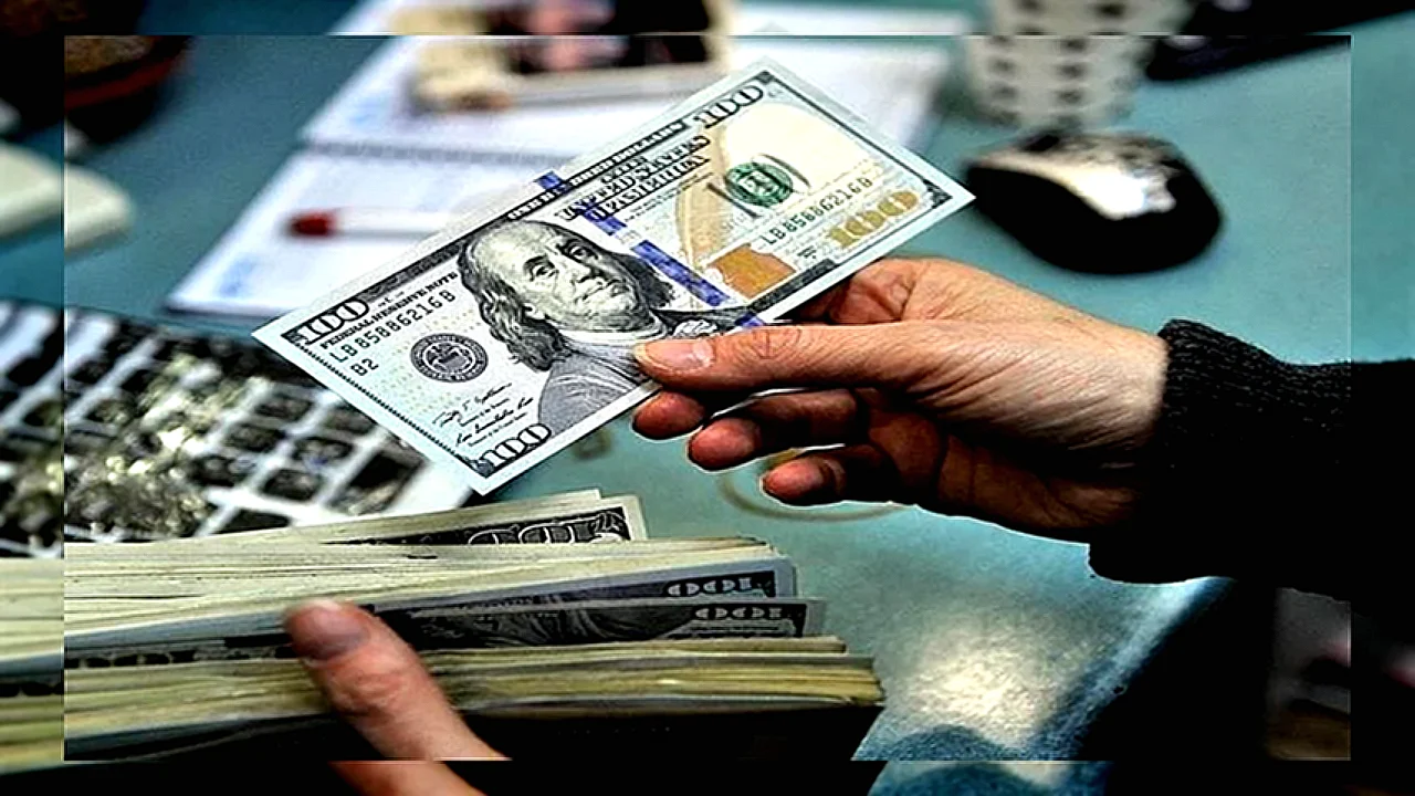 آخر سعر للدولار أسعار الدولار مقابل الجنيه المصري في