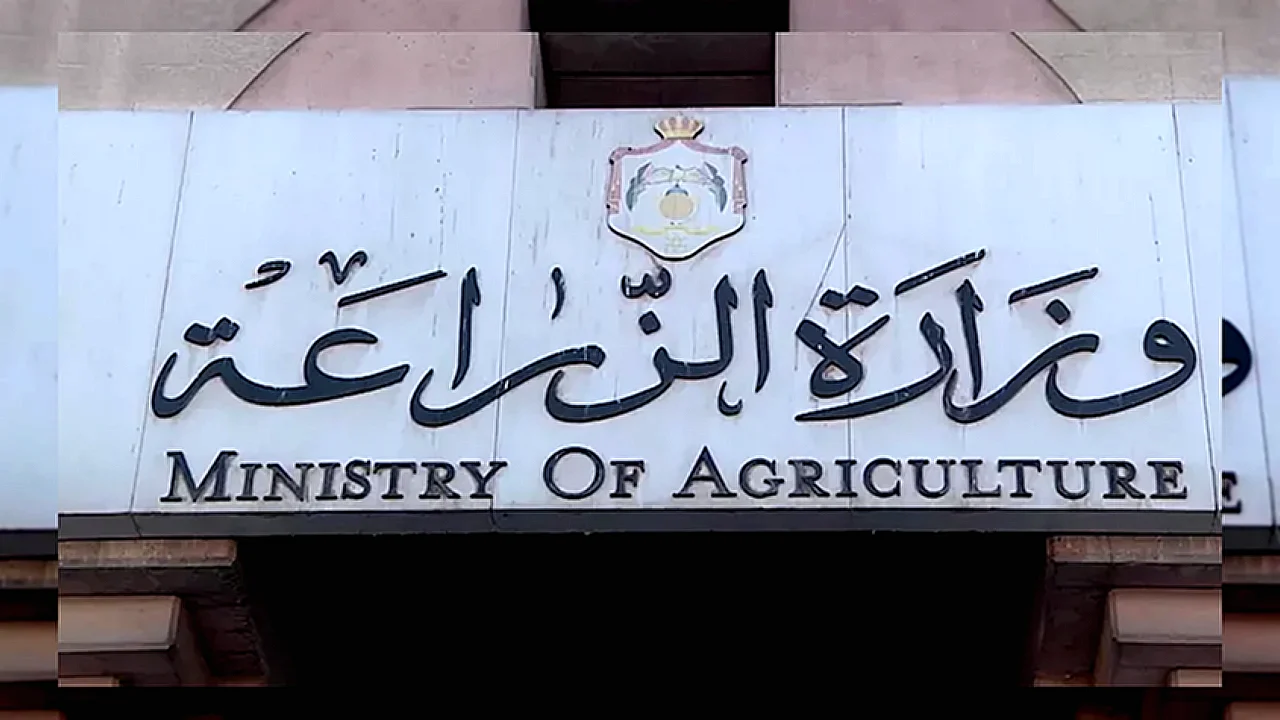 أسواق جديدة للعنب صادرات زراعية مصرية إلى أمريكا اللاتينية