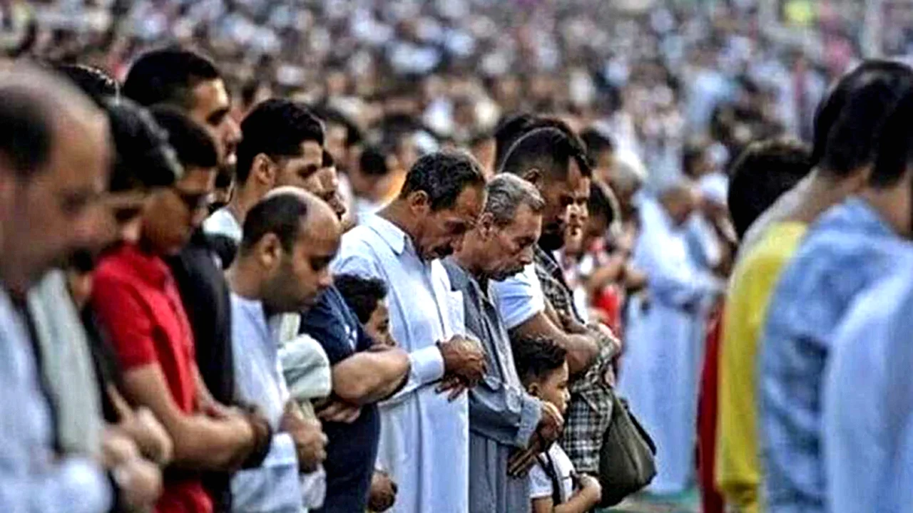 استعدادات مكثفة لاستقبال استعدادات عيد الأضحى في مصر