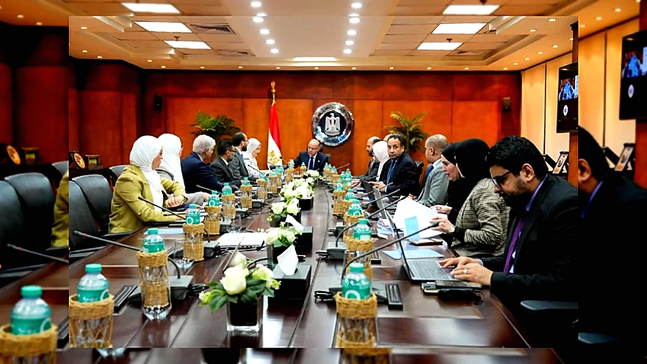 التعاون مع يونيدو وزير الاستثمار محمد فريد يترأس اجتماعاً