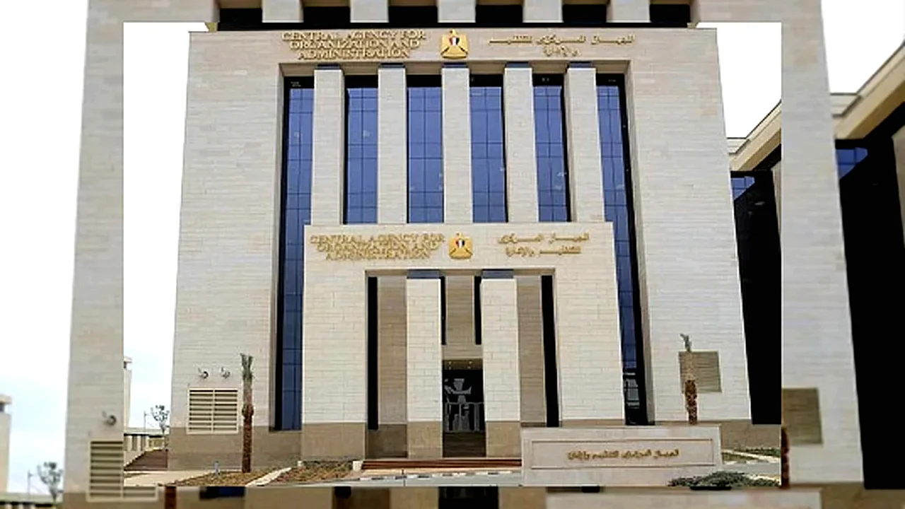 التنظيم والإدارة يعلن الامتحان الإلكتروني - صورة تعبيرية