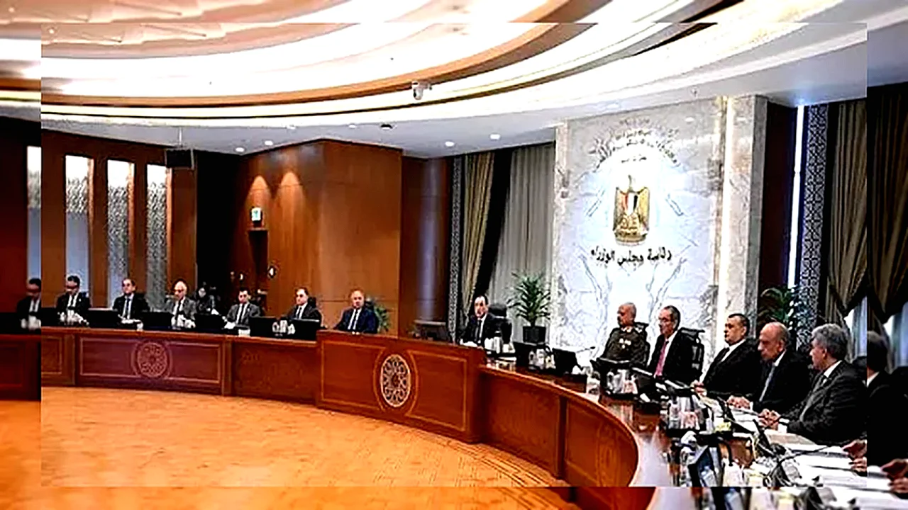 الحكومة توافق على إسقاط جنسية مصري بسبب الخدمة العسكرية