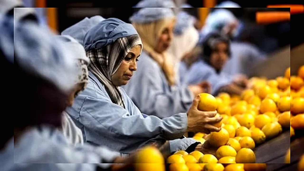 الصناعات الغذائية المصرية الصناعات الغذائية - مصنع