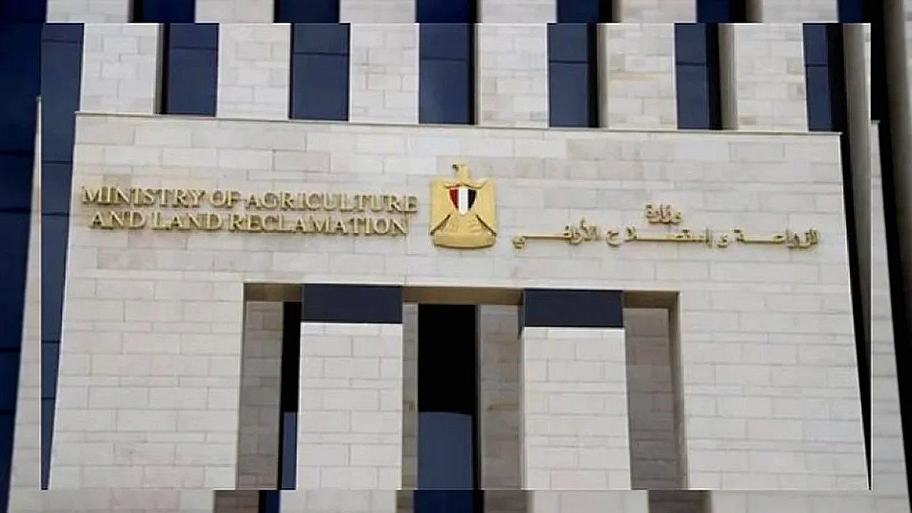 الفائض عن احتياجات الصادرات الزراعية - منتجات زراعية مصرية