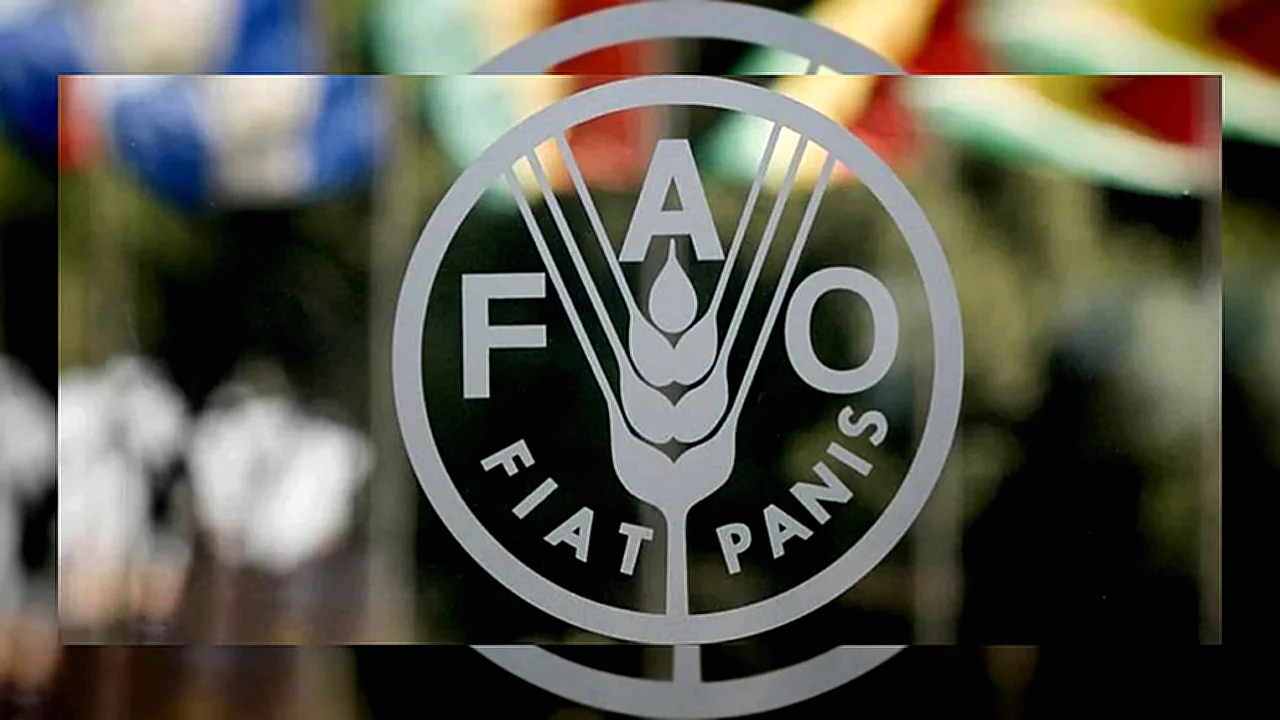 الفاو تحذر من ضغوط صورة تعبيرية لشاحنات نقل أسمدة في