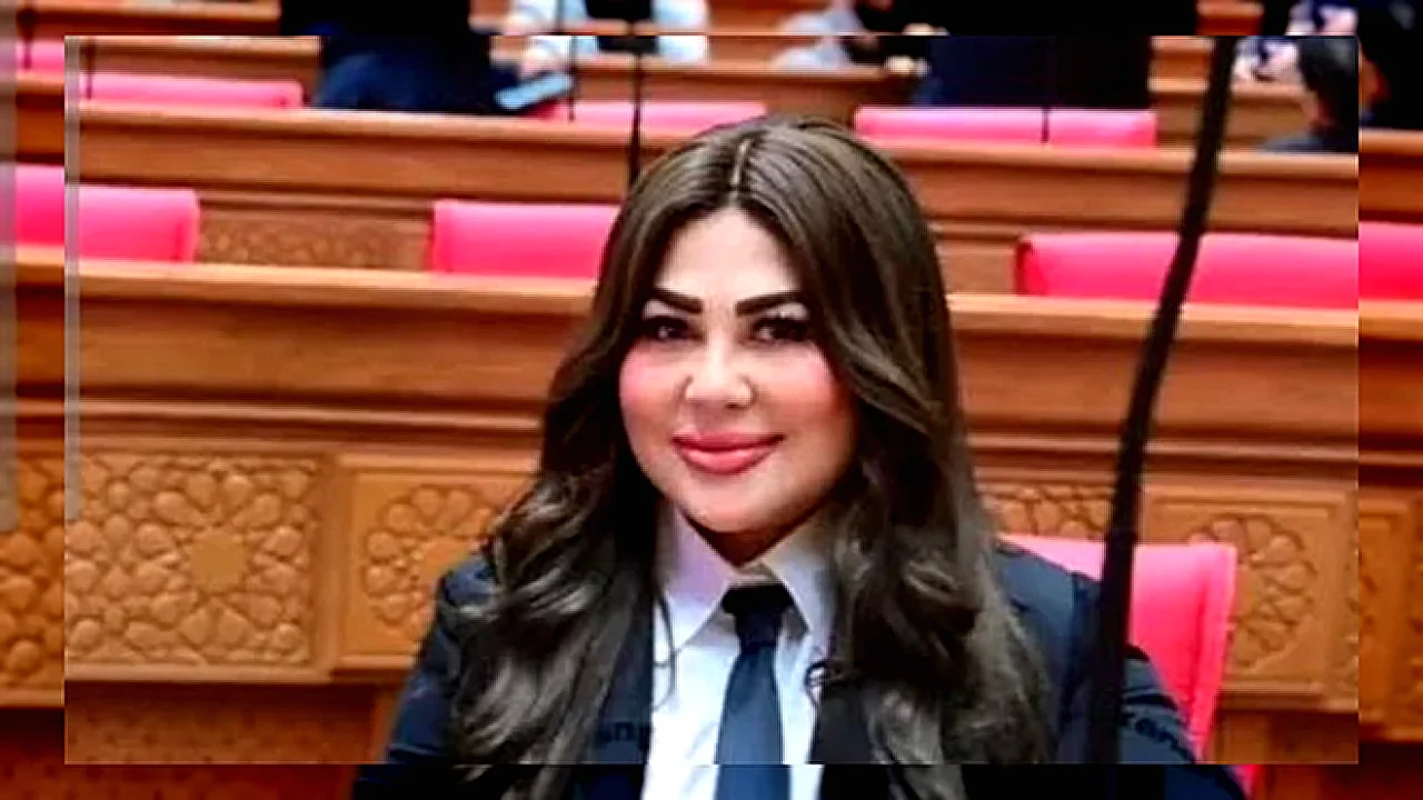 النائبة ولاء الصبان الدبلوماسية المصرية ودورها في حل