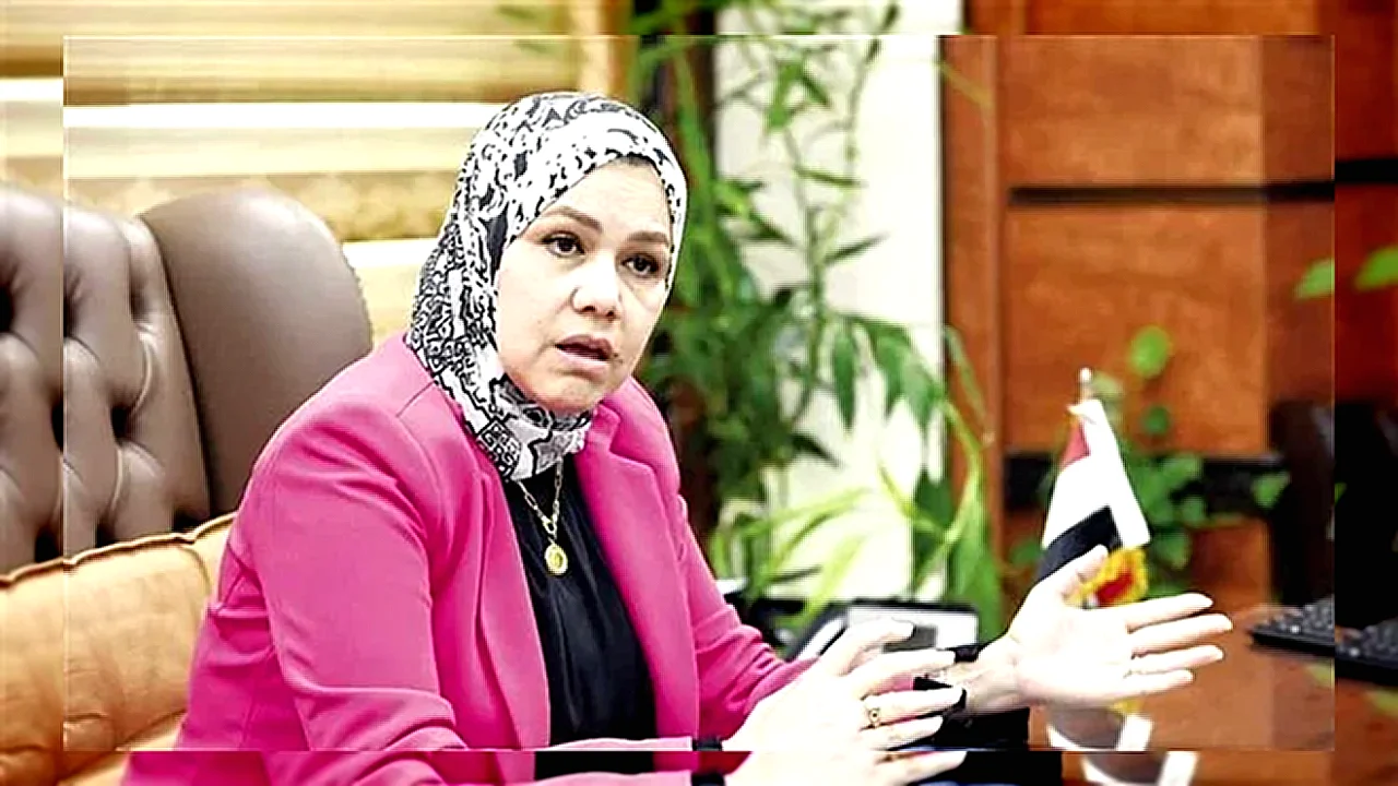 بناء منظومة ضريبية منظومة ضريبية - رشا عبدالعال تتحدث عن