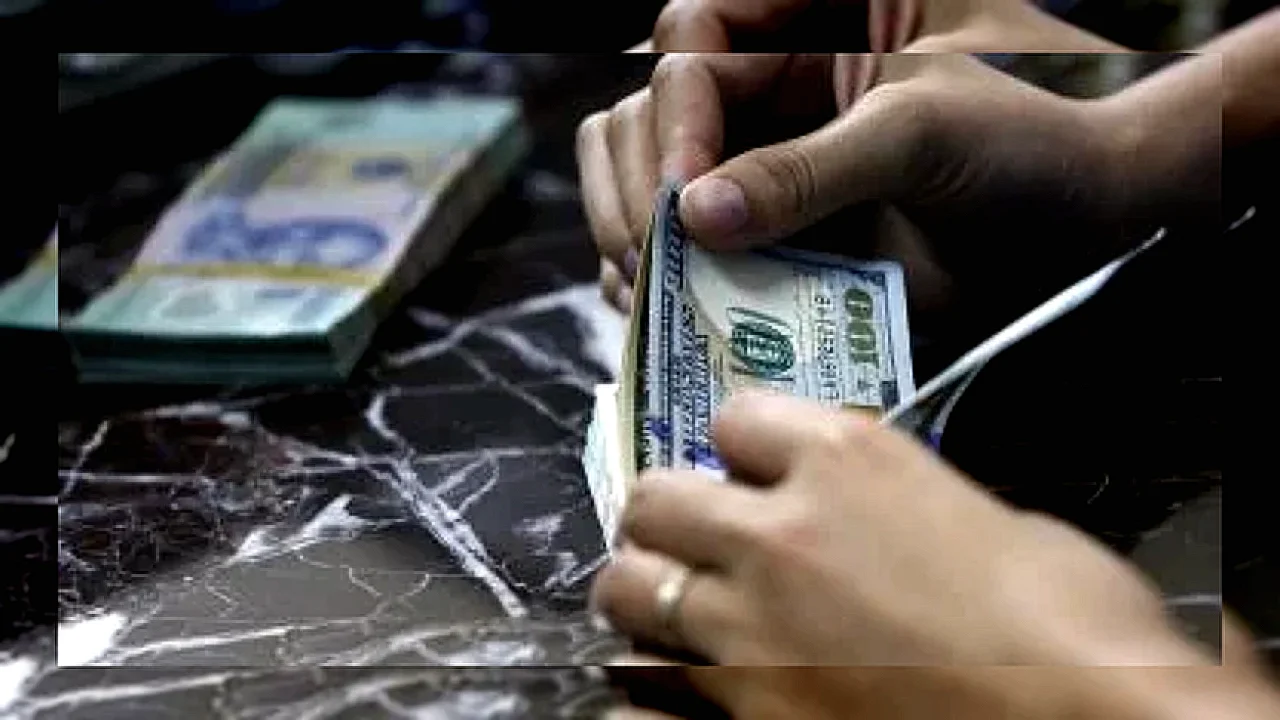 تحت سقف الـ51 سعر الدولار مقابل الجنيه تحت 51 جنيهاً