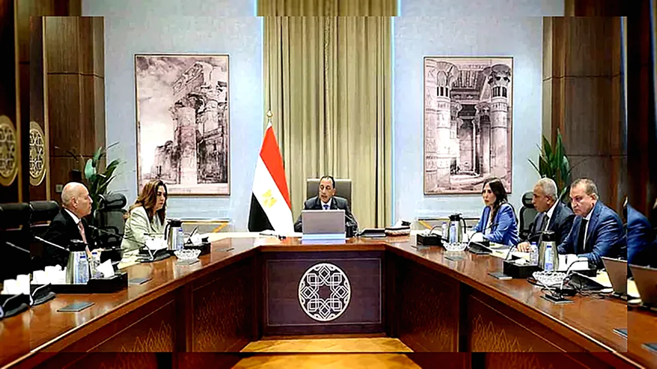 تشجير الطريق الدائري مشروع تشجير الطرق والمحاور في القاهرة