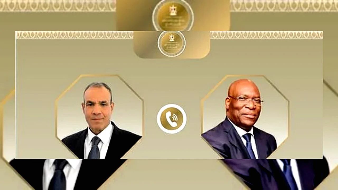 تشجيع انخراط الشركات وزير الخارجية المصري بدر عبد العاطي