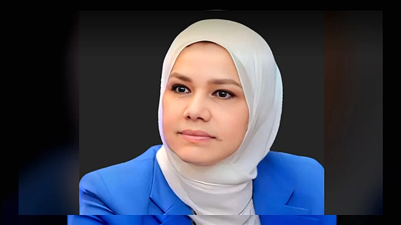 تعديلات القيمة المضافة رئيس مصلحة الضرائب المصرية تتحدث عن