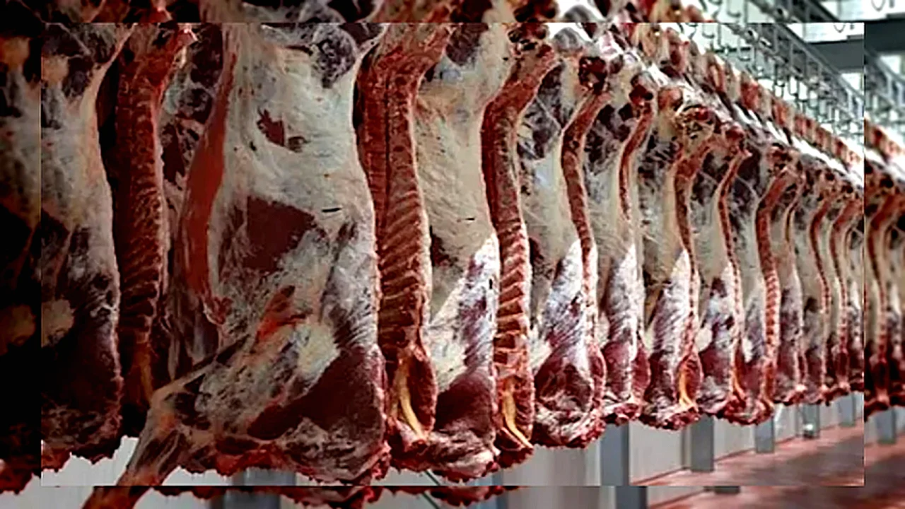 جنيهات بعد موجة أسواق اللحوم في مصر تشهد انخفاضًا في أسعار