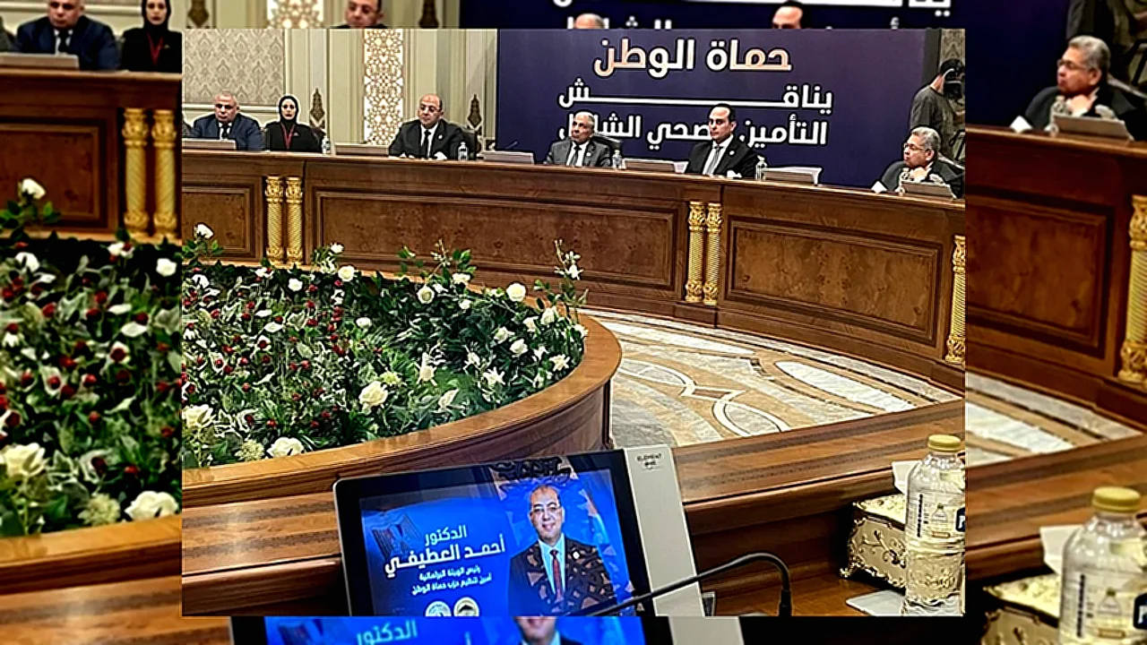 حزب حماة الوطن جلسة برلمانية ل حول مستقبل الصحة في مصر