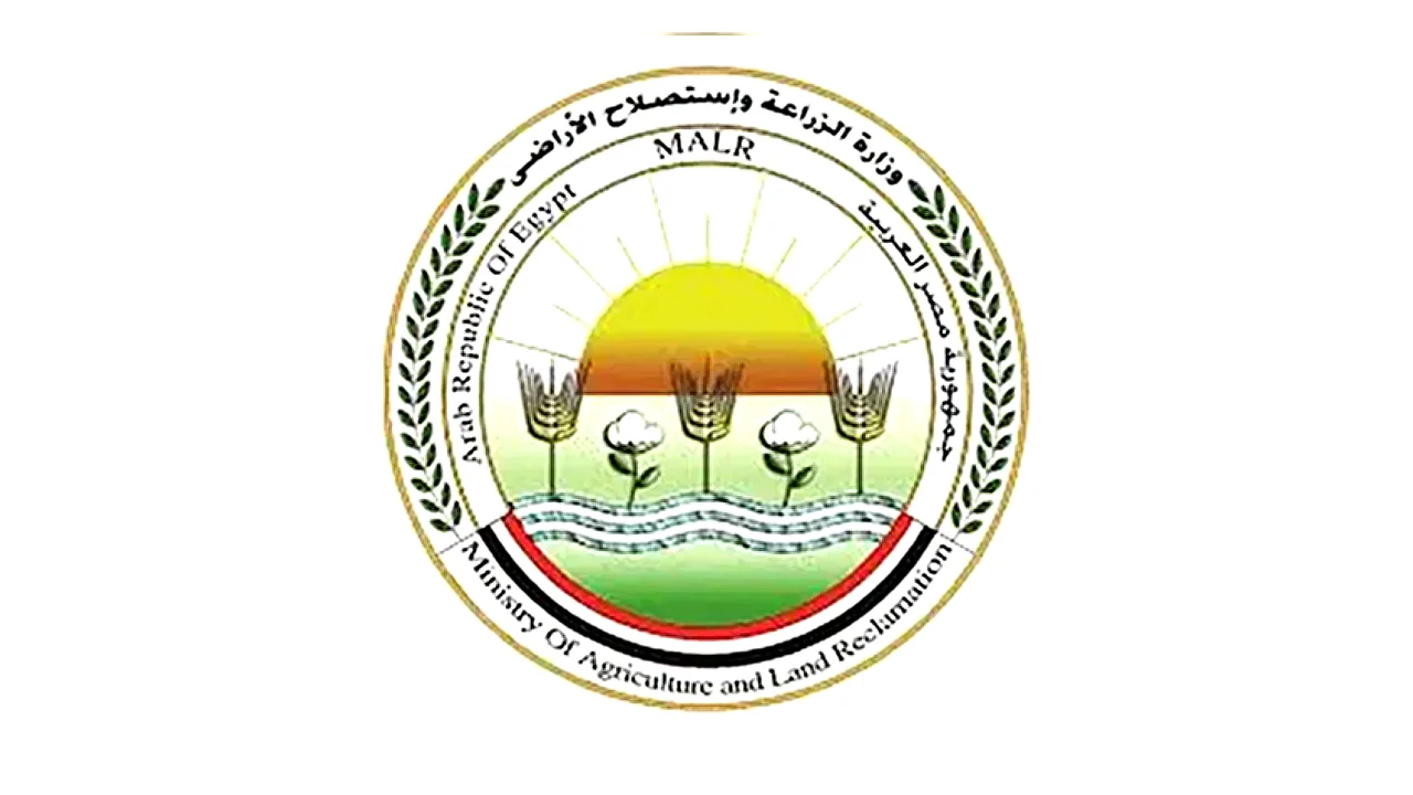 حصول المعمل المركزي صورة تعبيرية لمعمل تحليلات غذائية مع