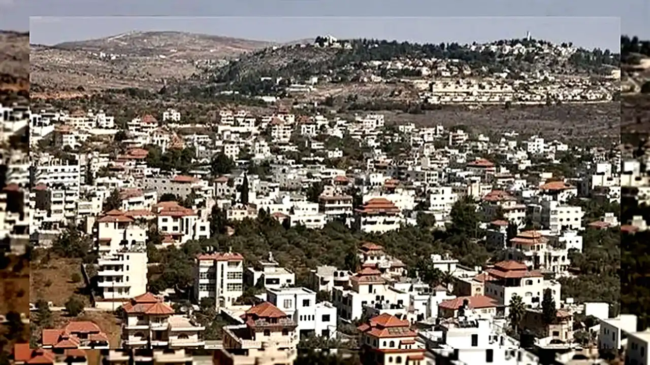 دانا أبو شمسية مراسلة إخبارية تتحدث عن التوسع الاستيطاني