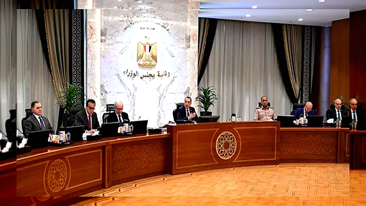 دمج الهيئة الزراعية تمثيل لشبكة الكهرباء مع الإشارة إلى