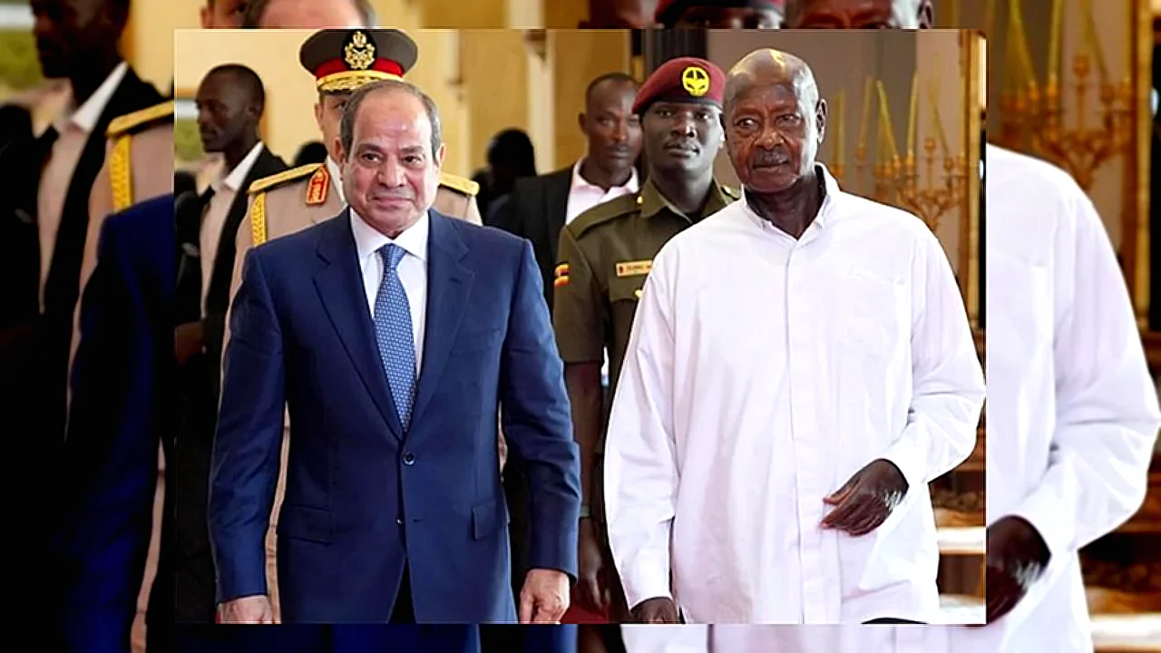 زيارة االرئيس السيسي الرئيس السيسي خلال زيارة رسمية