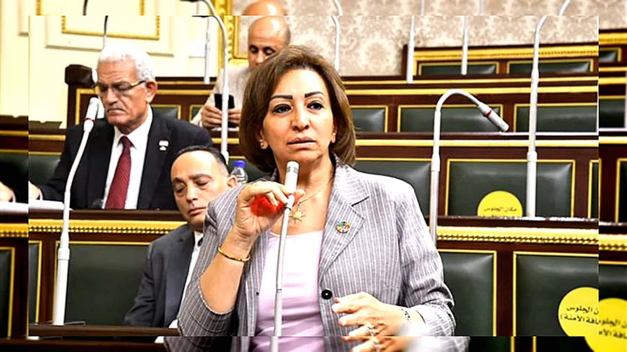 سؤال برلماني بشأن نائبة في مجلس النواب تتحدث عن نتائج