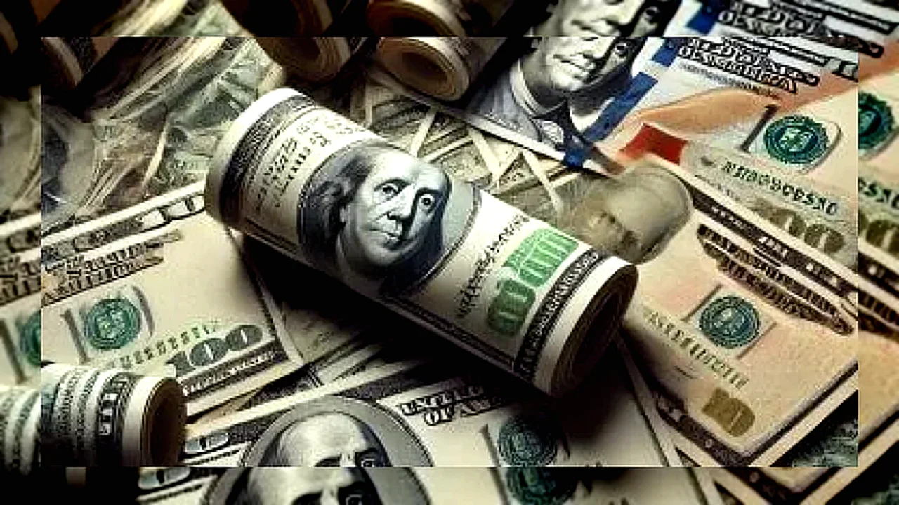استقرار سعر الدولار أمام الجنيه المصري في البنك المركزي