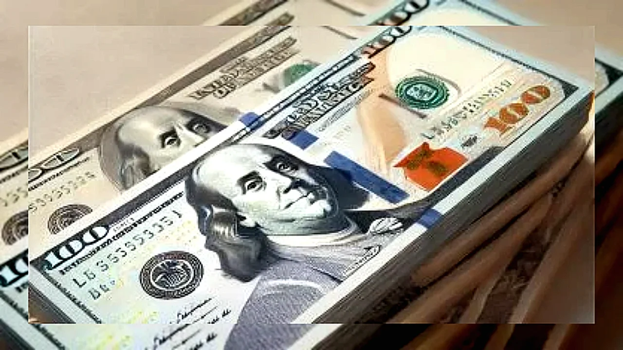ثبات سعر الدولار - رسم بياني لسعر الدولار مقابل الجنيه