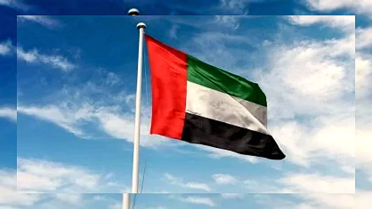 سفينتين في ميناء بيان إدانة يستهدف حادثة ميناء دمياط