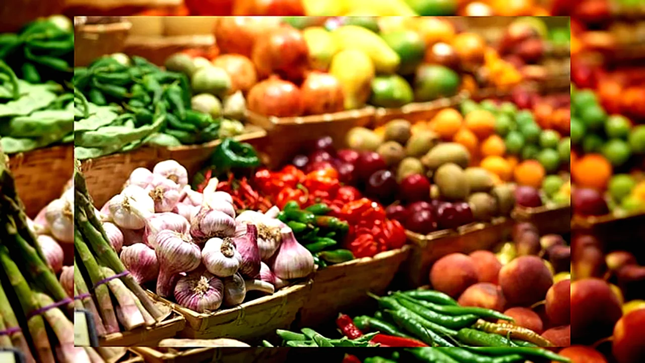 شركات الحاصلات الزراعية وزير الخارجية المصري يوقع اتفاق