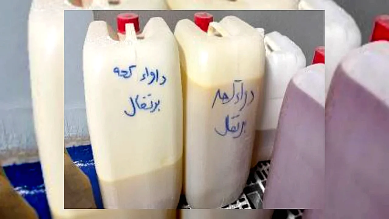 ضبط ملايين أقراص مصنع مكملات غذائية مغشوشة - تحفظ على