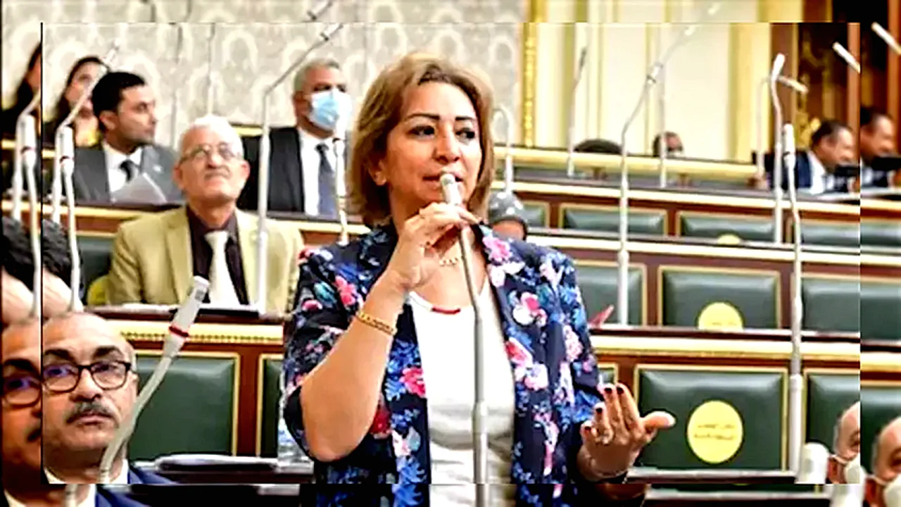 طلب إحاطة بشأن النائبة مها عبدالناصر تطلب إحاطة حول
