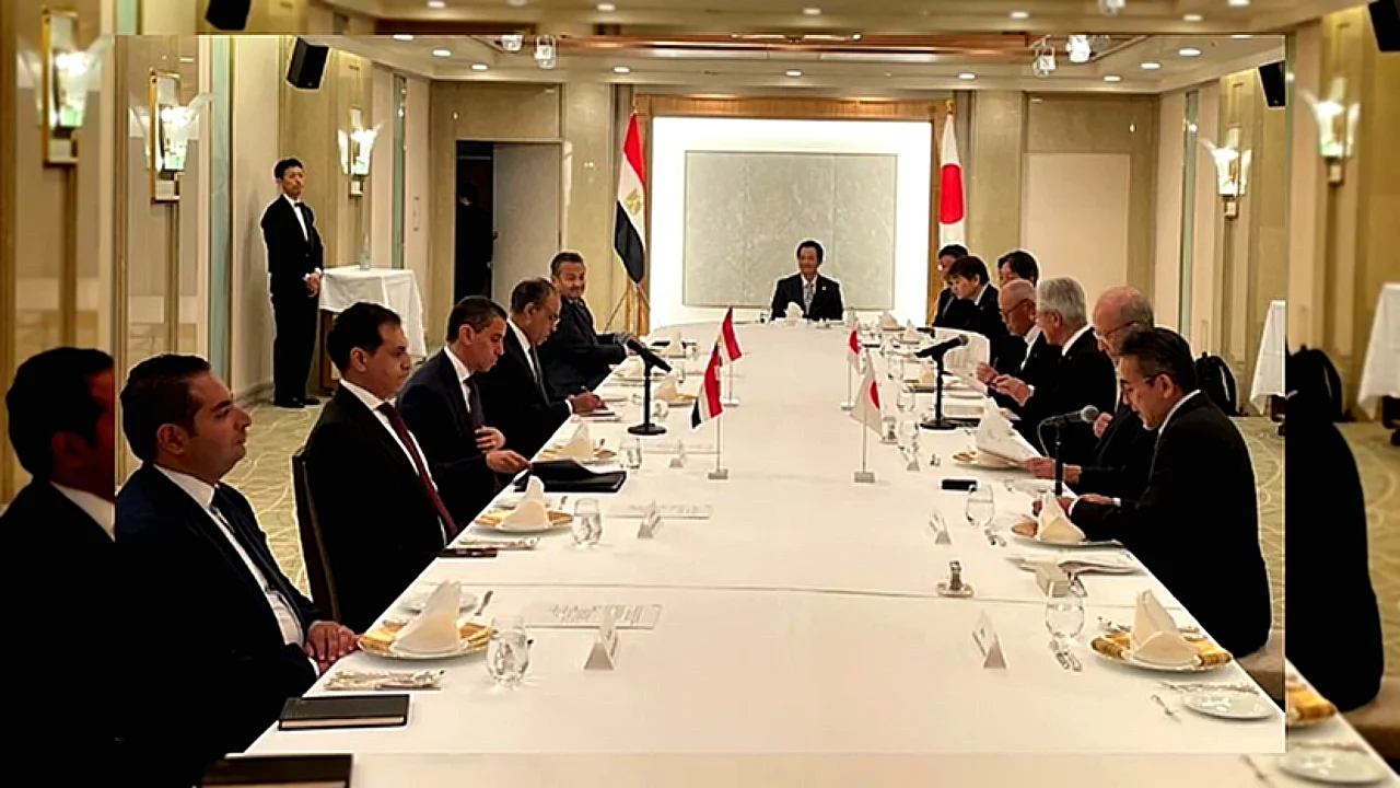 قناة السويس وزير الخارجية المصري يتحدث أمام مجلس الأعمال
