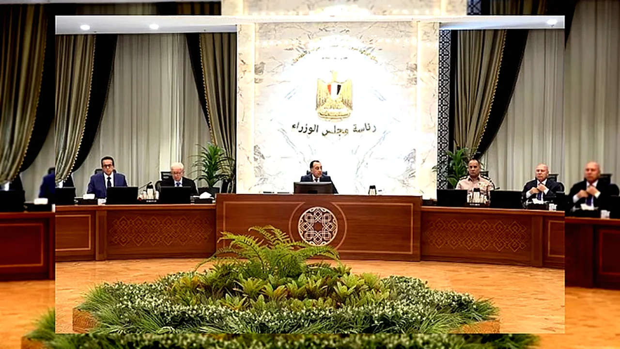 متزنة ومعتدلة السياسة الخارجية المصرية - الدكتور مصطفى