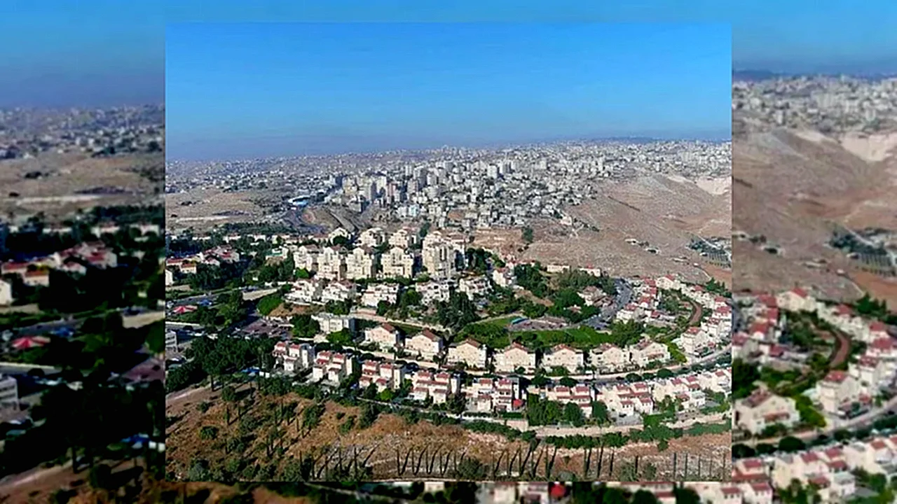 مصر ترحب بقرار مصر ترحب بـ قرار بلجيكا حظر منتجات