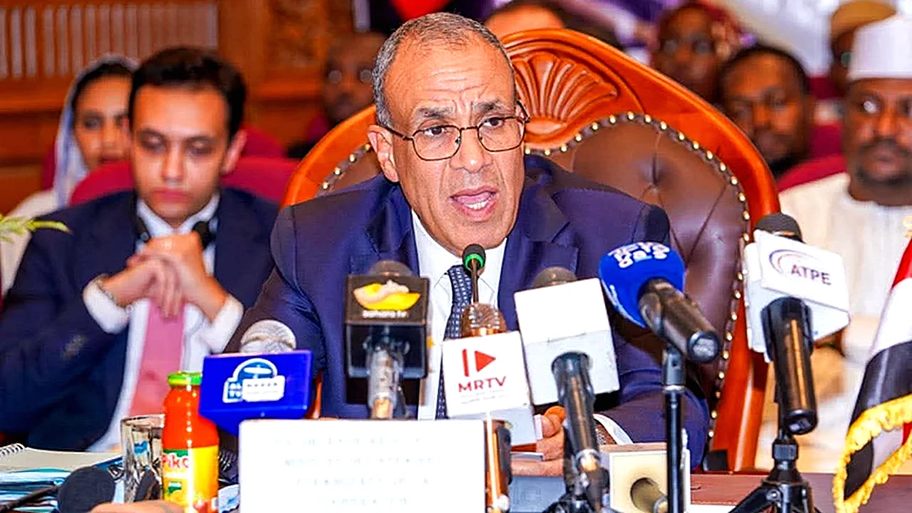 مصر وتشاد لقاء الدورة الرابعة للجنة مصر والشراكة