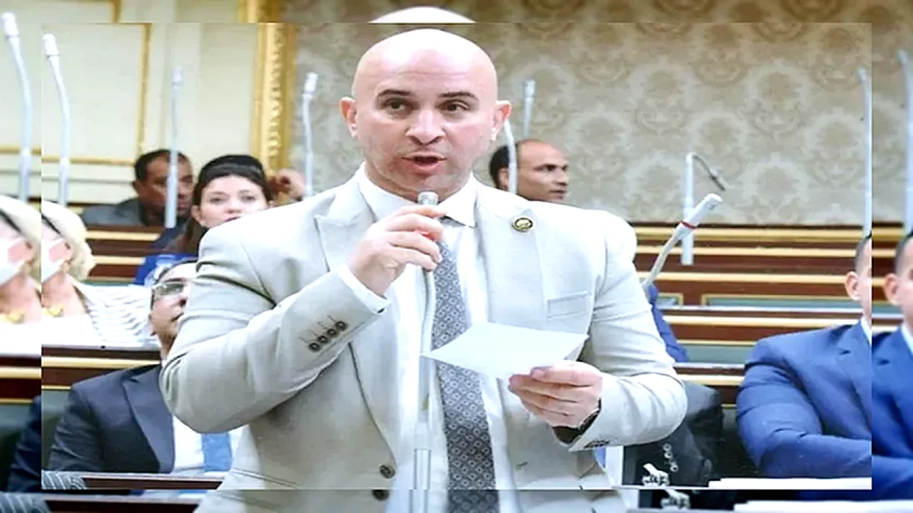 نائب ينتقد الخدمات اجتماع لجنة الشؤون الصحية بمجلس النواب
