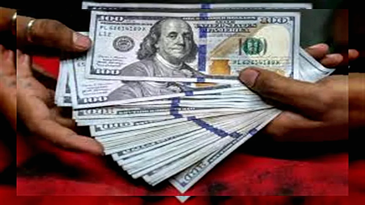 هبوط حاد في سعر الدولار يهبط أمام الجنيه المصري في البنوك