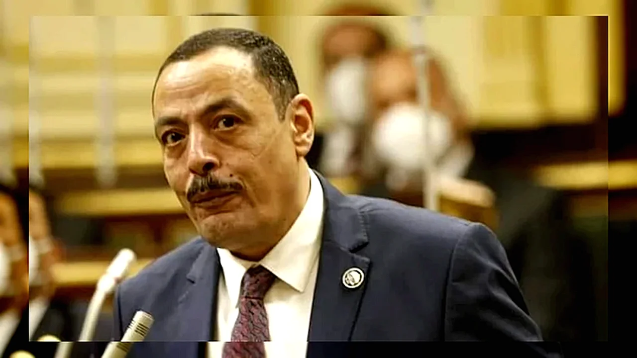 هروب المليارات من نائب برلماني يتحدث عن الضرائب بسبب