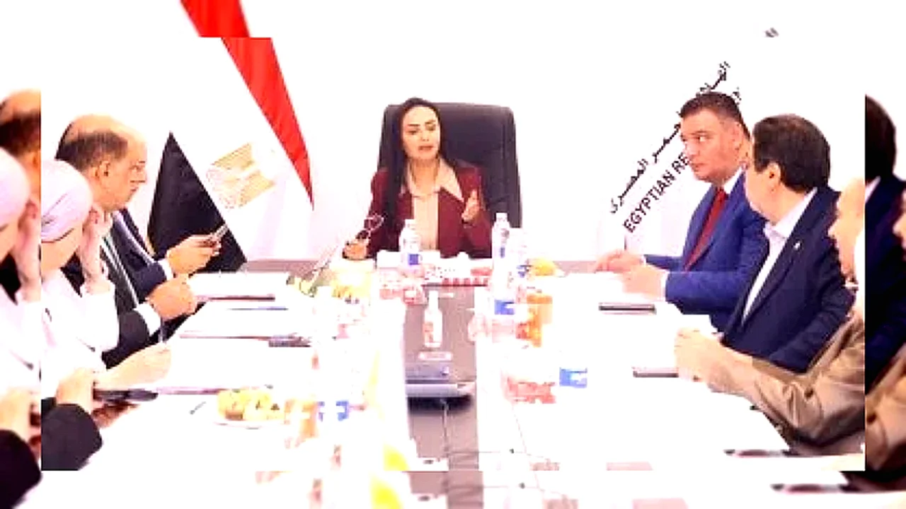 وزيرة التضامن تستعرض اجتماع وزيرة التضامن لمتابعة جهود