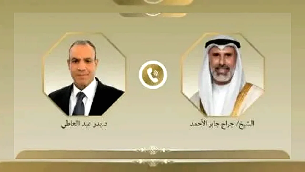 وسبل خفض التصعيد وزير الخارجية بدر عبد العاطي خلال مباحثات