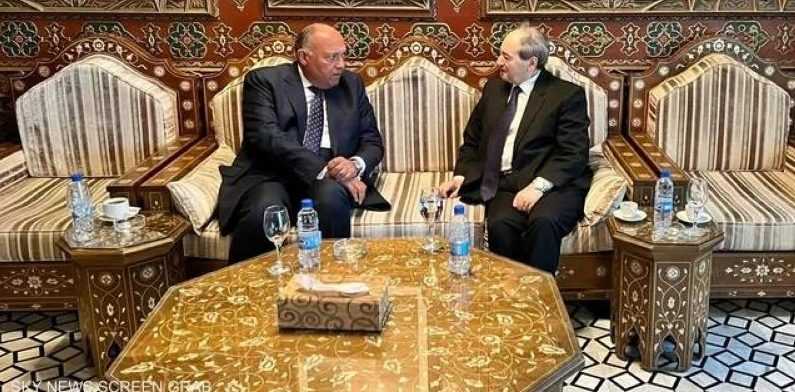 وزير الخارجية المصري والسوري