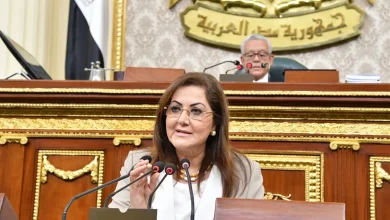 وزيرة التخطيط