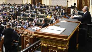 النواب المصرى