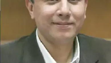 محمد رفعت يكتب