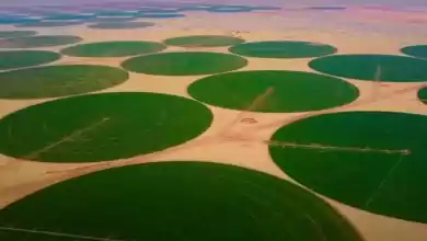 تستثمر 2 مليار دولار في مصر